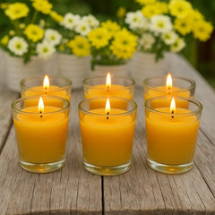 6 golden beeswax votives in glass candle holders